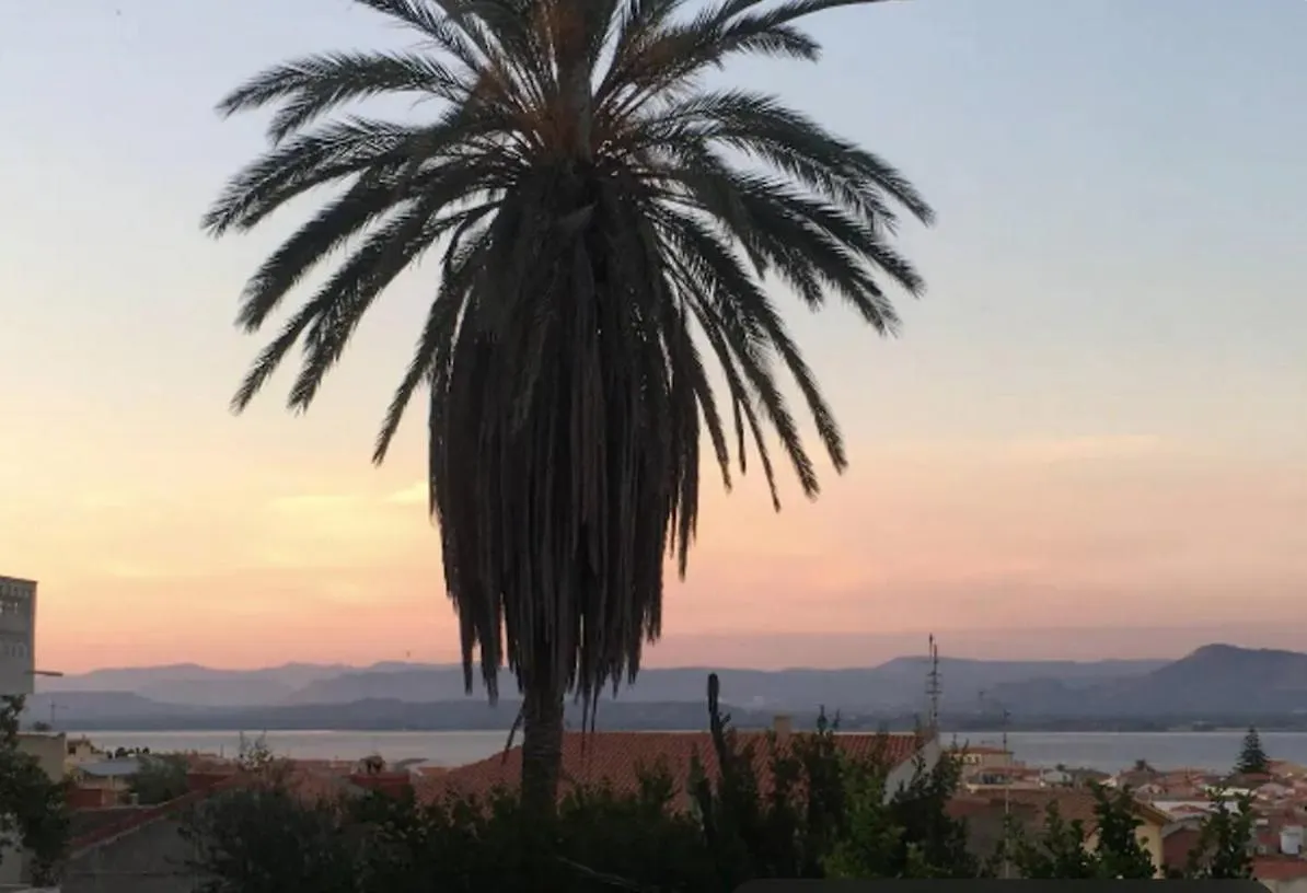 Palma E Boungaville Sant'Antioco Holiday home